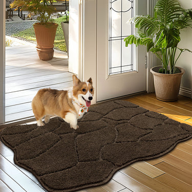 Absorbent Dog Mat for Muddy Paws, Non-Slip Low-Profile Entryway Rug