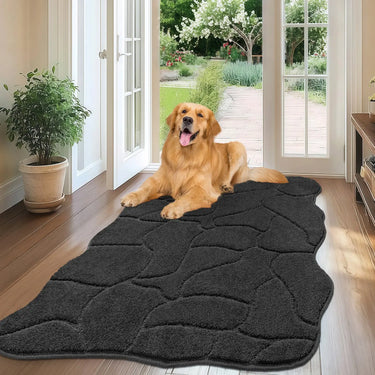 Absorbent Dog Mat for Muddy Paws, Non-Slip Low-Profile Entryway Rug